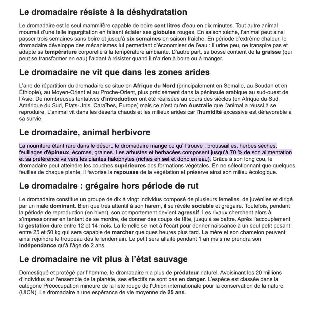 L’intention de recherche en SEO