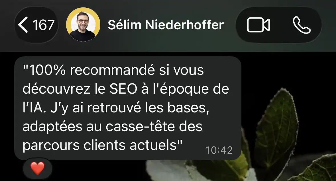 Message de Sélim Niederhoffer : 100% recommandé si vous découvrez le SEO à l'époque de l'IA